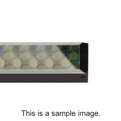 Polarizer
